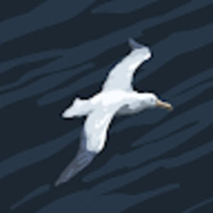 Meet your Posher, Abbie